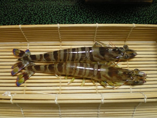 IMGP1520.jpg IMGP1520.jpg