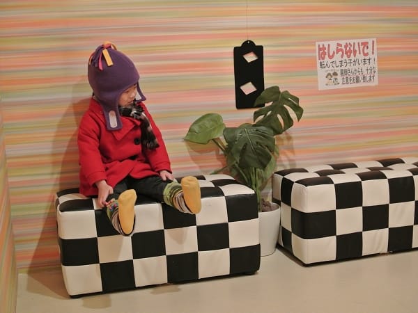 DSC_2943.jpg DSC_2943.jpg