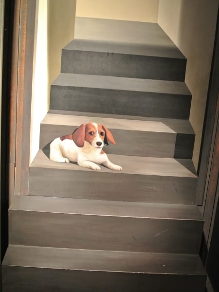 DSC_2974.jpg DSC_2974.jpg