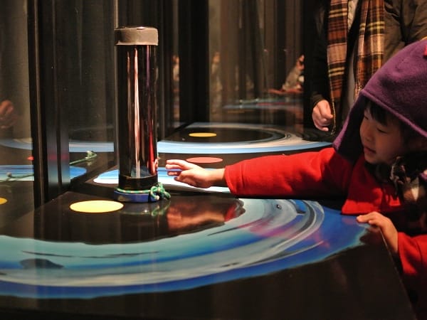 DSC_2969.jpg DSC_2969.jpg