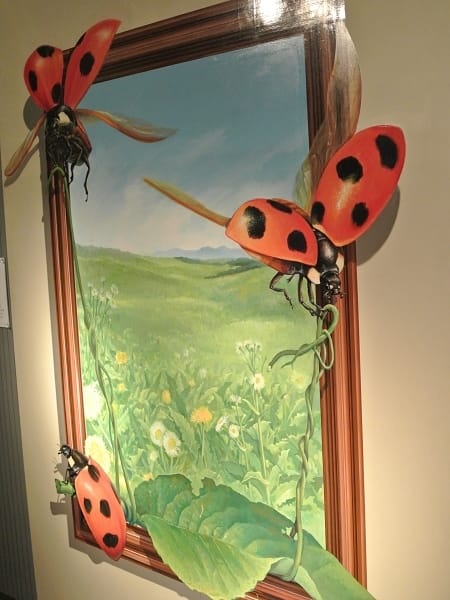 DSC_2951.jpg DSC_2951.jpg