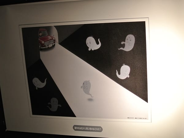 DSC_2997.jpg DSC_2997.jpg