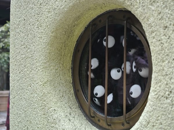 DSC_5875.jpg DSC_5875.jpg