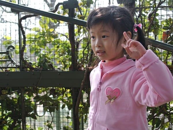 DSC_5832.jpg DSC_5832.jpg