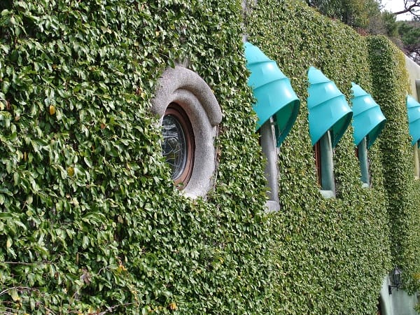 DSC_5857.jpg DSC_5857.jpg