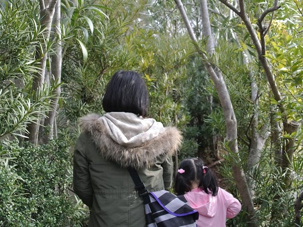 DSC_5848.jpg DSC_5848.jpg