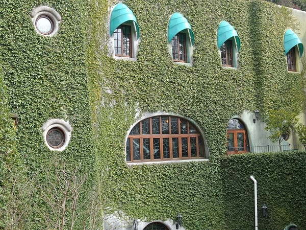 DSC_5819.jpg DSC_5819.jpg