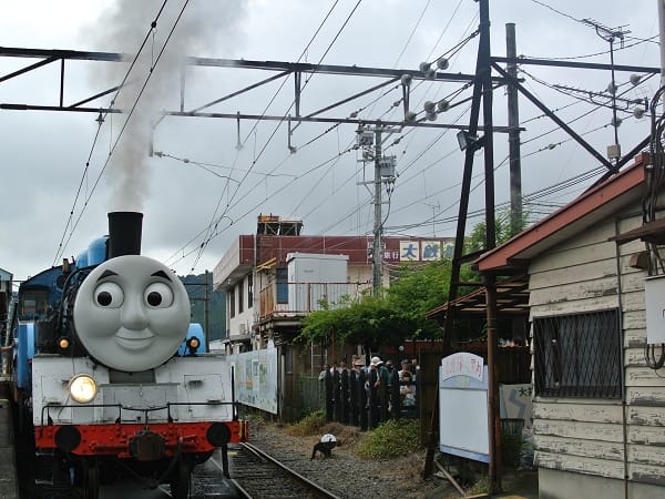 DSC_7245.jpg DSC_7245.jpg