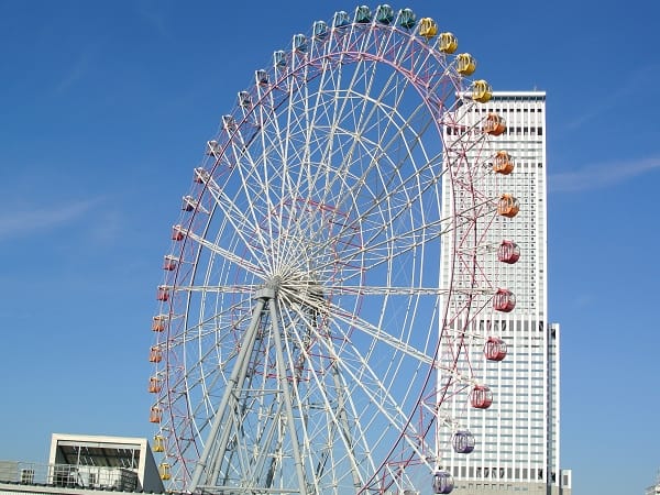 DSC_9019.jpg DSC_9019.jpg