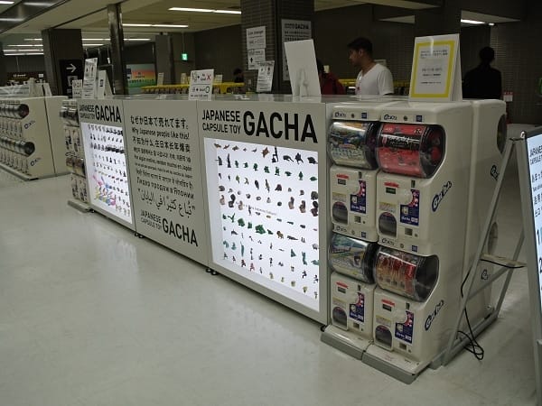 DSC_2458.jpg DSC_2458.jpg