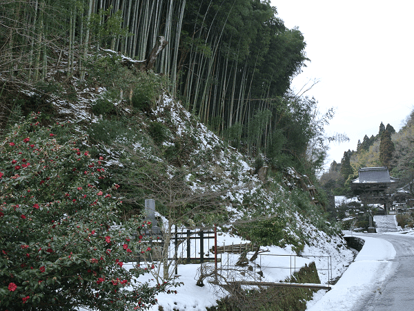 DSC_6876.png DSC_6876.png