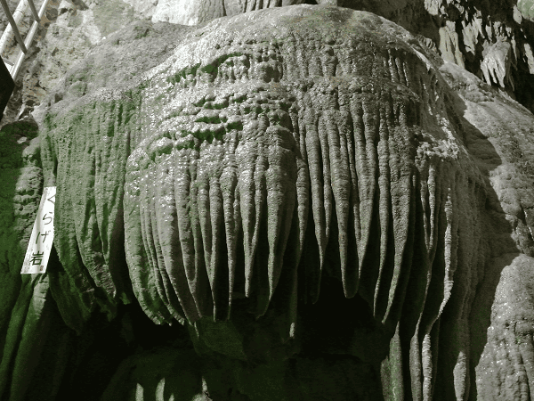 DSC_6992.png DSC_6992.png