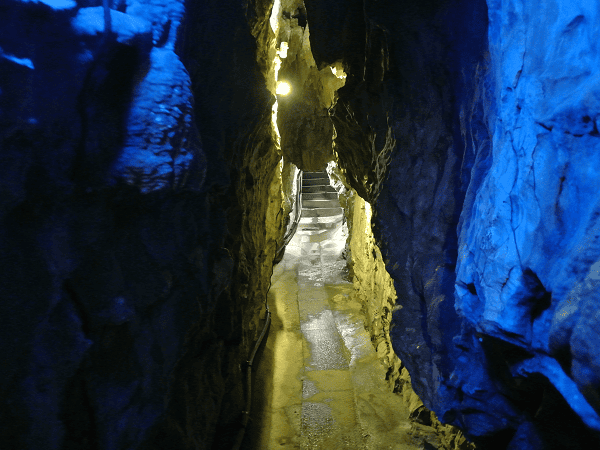 DSC_6991.png DSC_6991.png