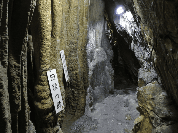 DSC_7031.png DSC_7031.png