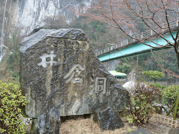 DSC_7070.png DSC_7070.png