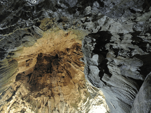 DSC_6993.png DSC_6993.png