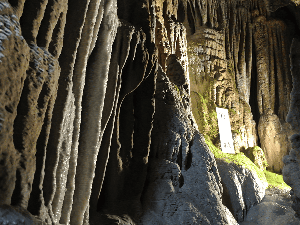 DSC_7023.png DSC_7023.png