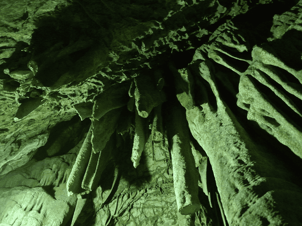 DSC_7014.png DSC_7014.png