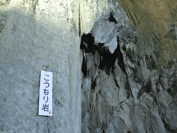 DSC_6995.png DSC_6995.png