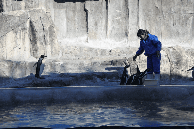 DSC_1685.png DSC_1685.png