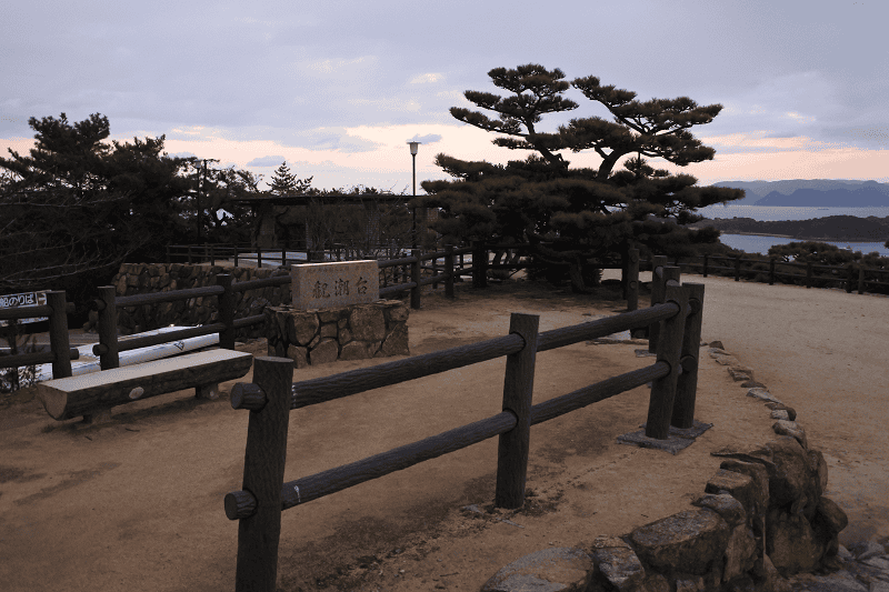 DSC_2311.png DSC_2311.png