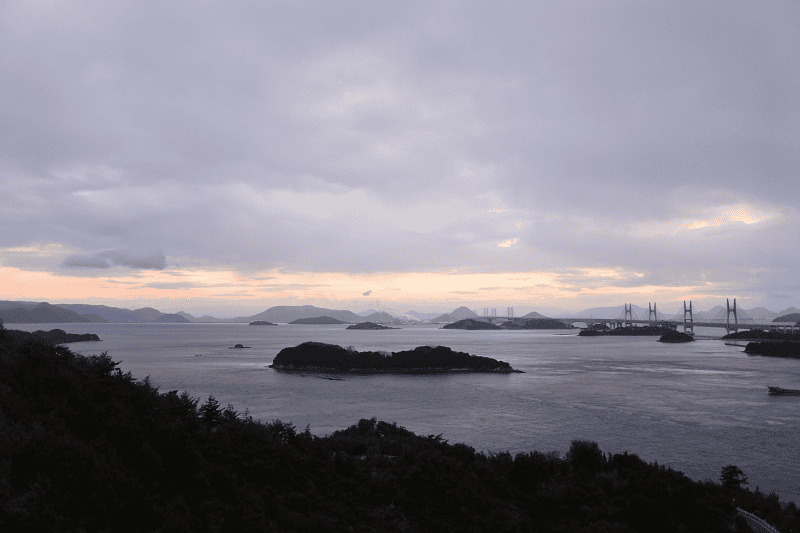 DSC_2307.png DSC_2307.png