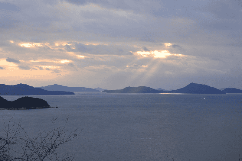 DSC_2282.png DSC_2282.png