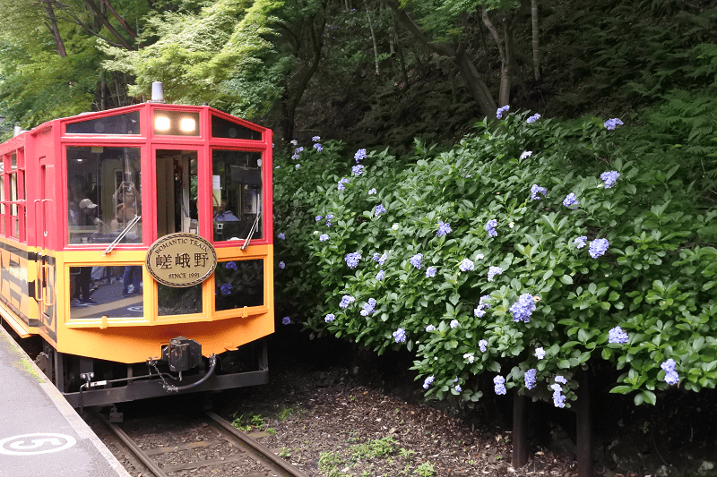 DSC_3042.png DSC_3042.png