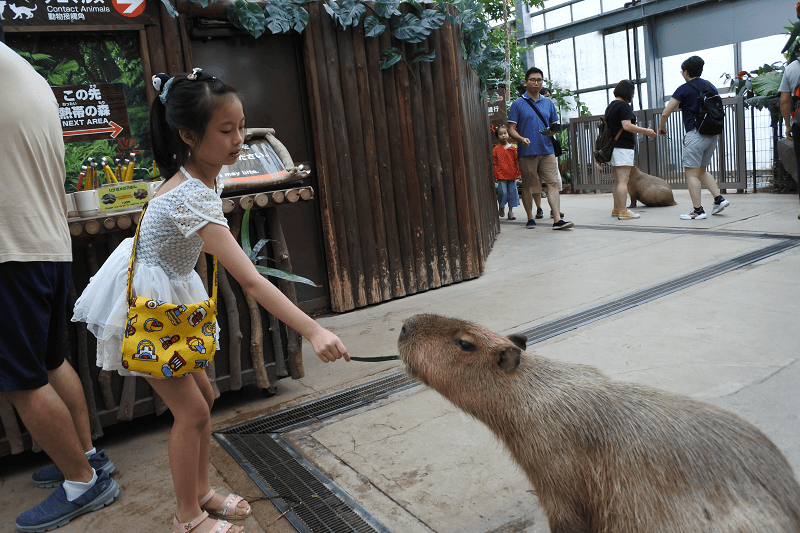 DSC_3780.png DSC_3780.png