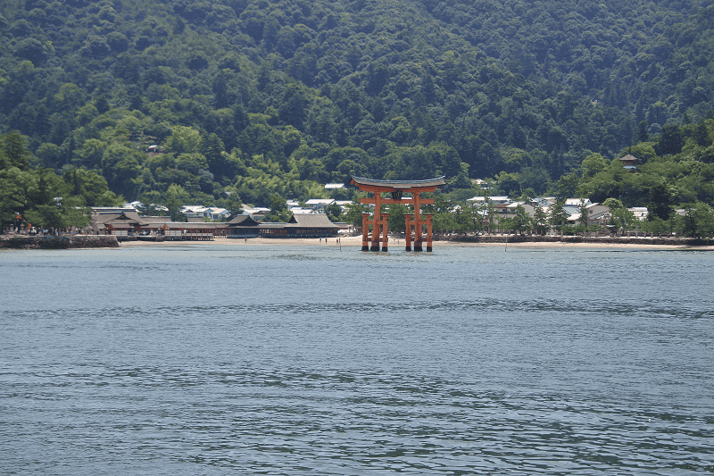 DSC_3124.png DSC_3124.png