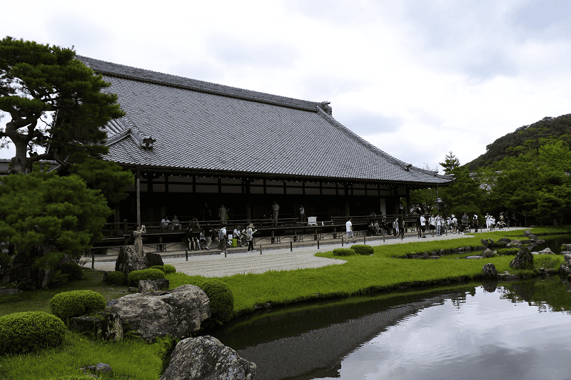 DSC_2968.png DSC_2968.png