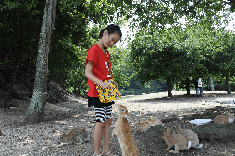 DSC_3433.png DSC_3433.png