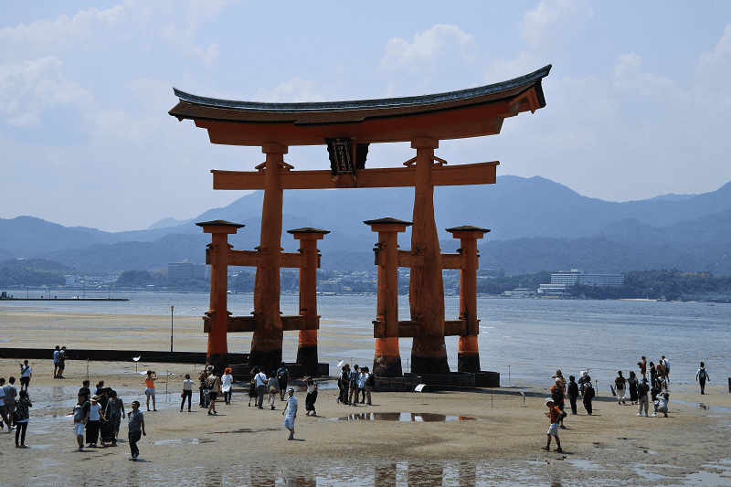 DSC_3168.png DSC_3168.png