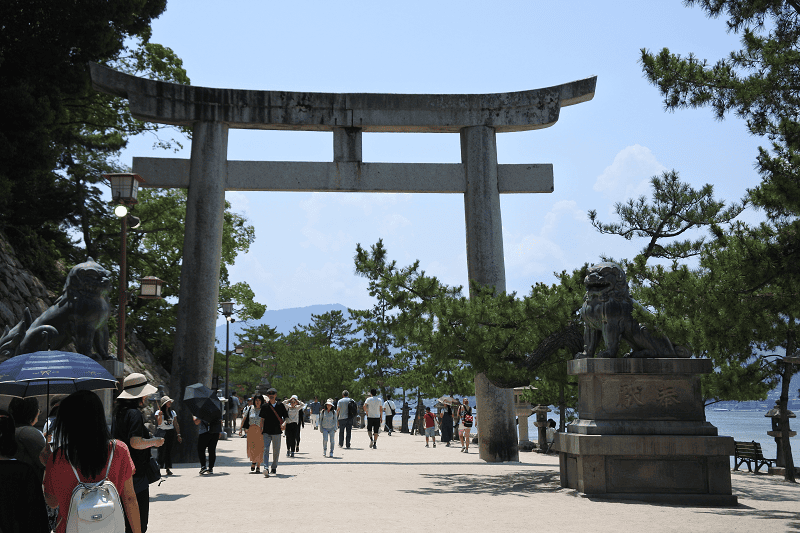 DSC_3161.png DSC_3161.png