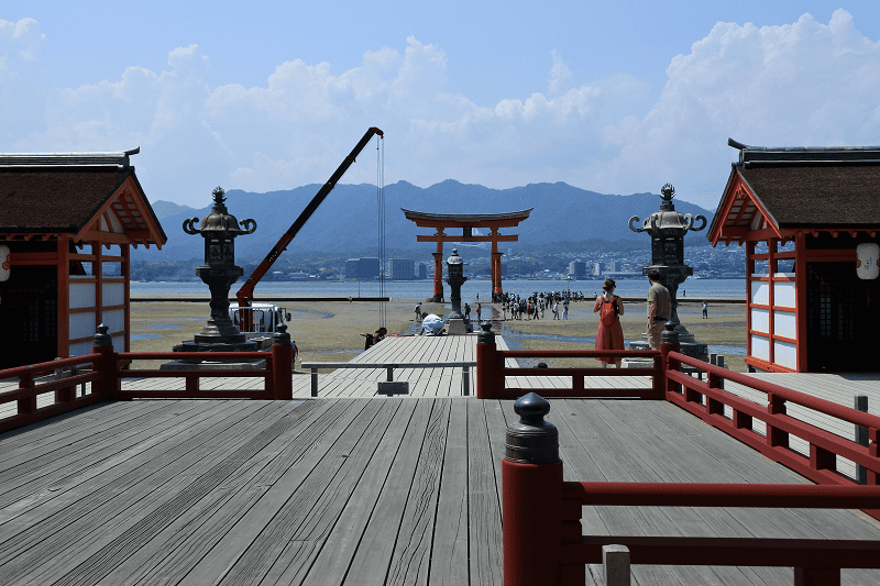 DSC_3187.png DSC_3187.png