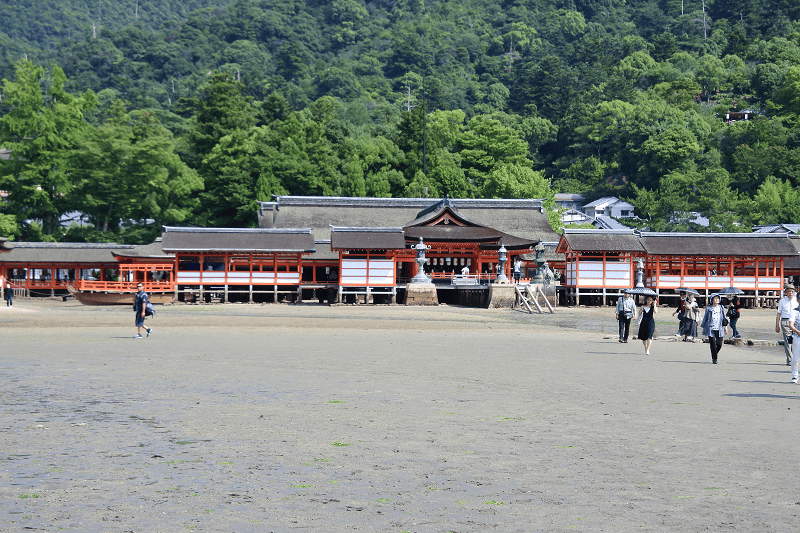 DSC_3214.png DSC_3214.png