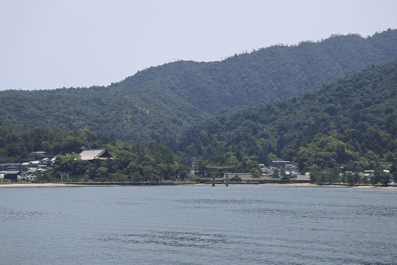 DSC_3118.png DSC_3118.png