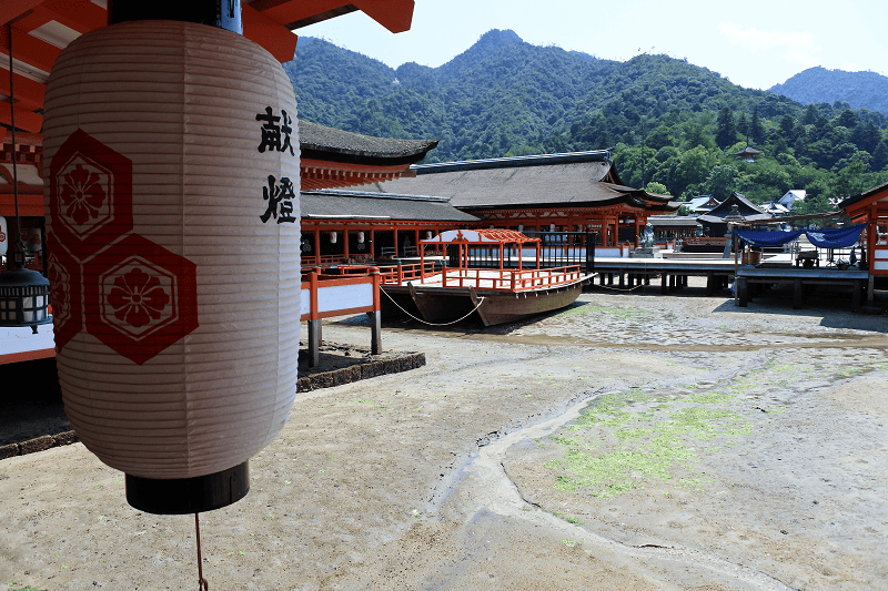 DSC_3177.png DSC_3177.png