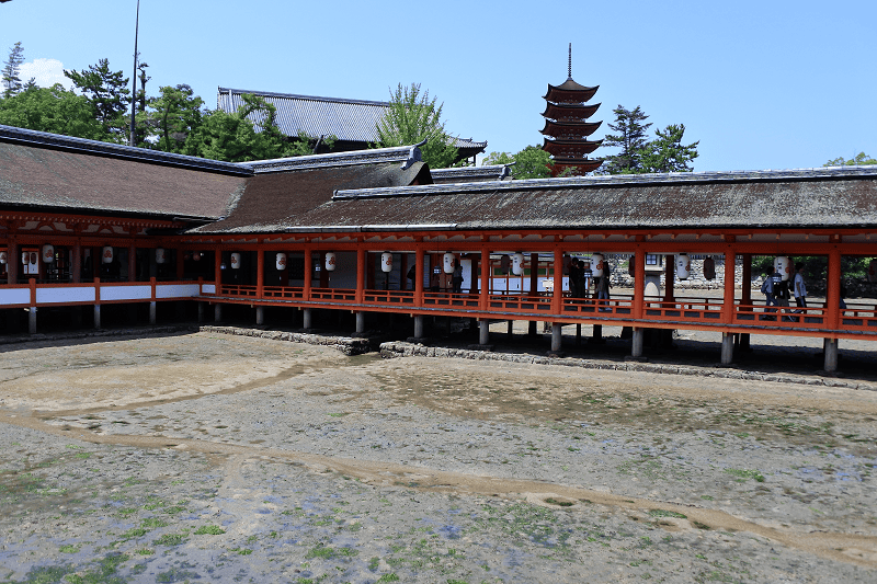 DSC_3181.png DSC_3181.png