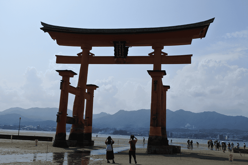 DSC_3209.png DSC_3209.png