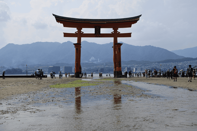 DSC_3220.png DSC_3220.png