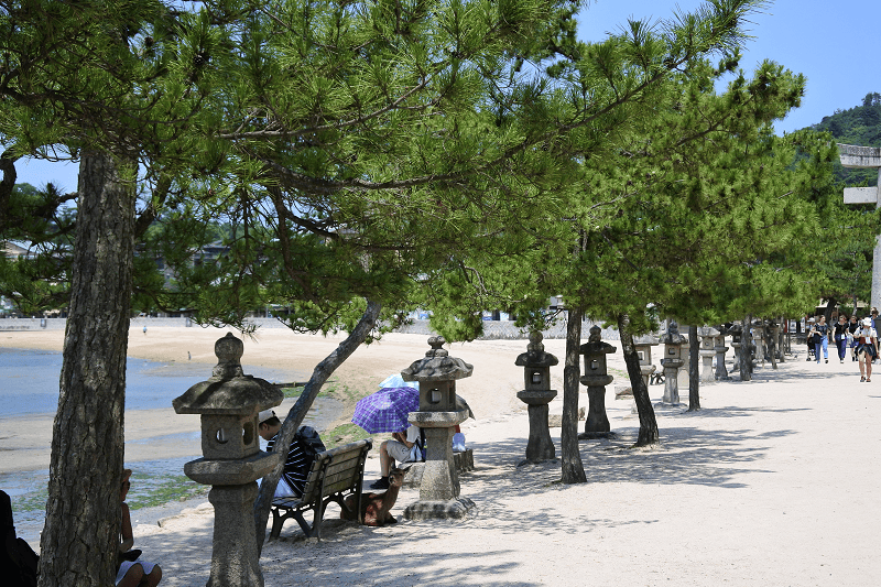 DSC_3163.png DSC_3163.png