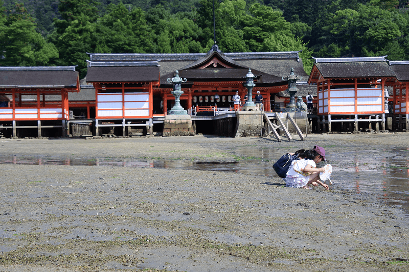 DSC_3231.png DSC_3231.png