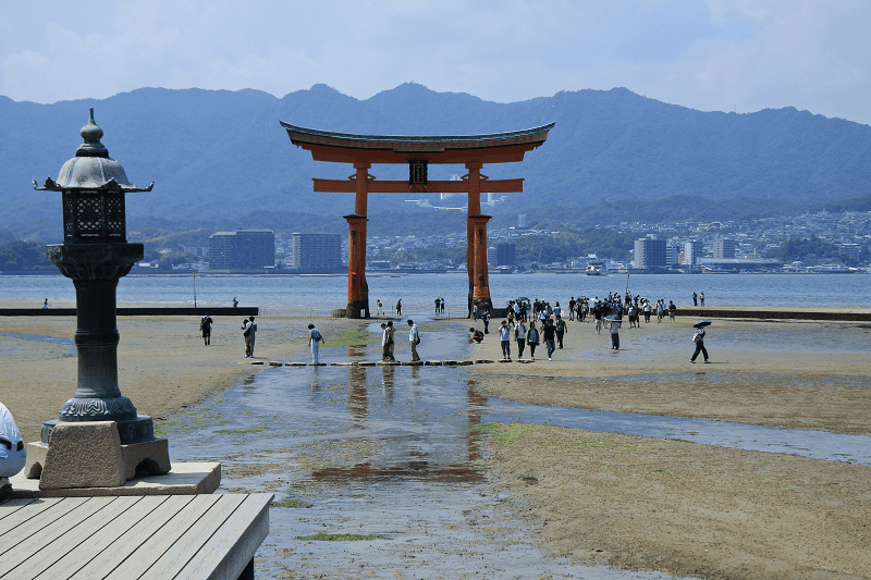 DSC_3188.png DSC_3188.png