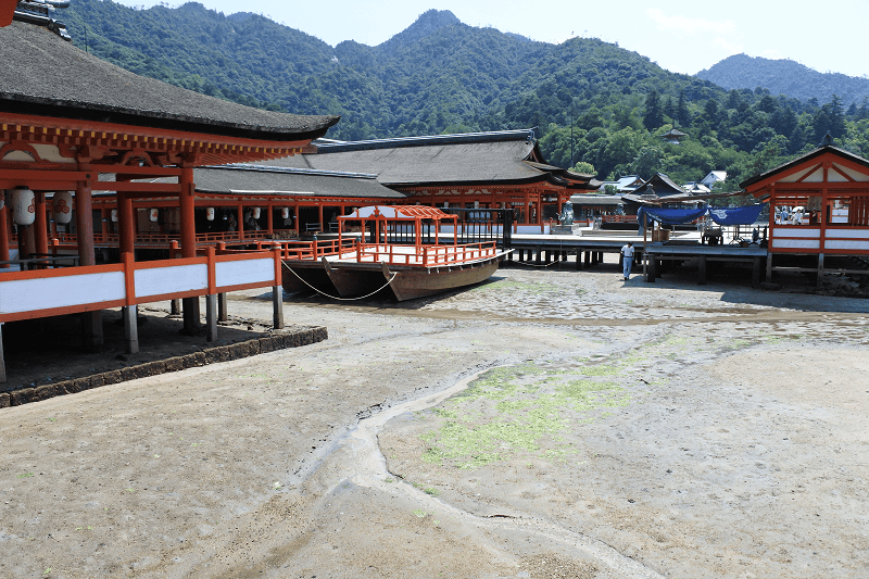 DSC_3178.png DSC_3178.png