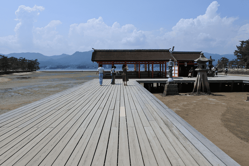 DSC_3194.png DSC_3194.png