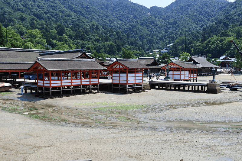 DSC_3175.png DSC_3175.png