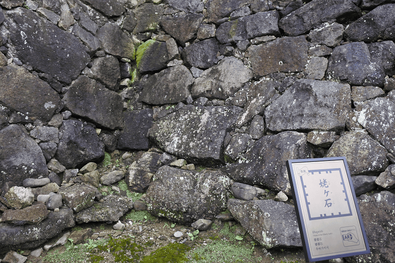 【兵庫姬路】日本世界遺產姬路城國寶天守五城也是日本第一名