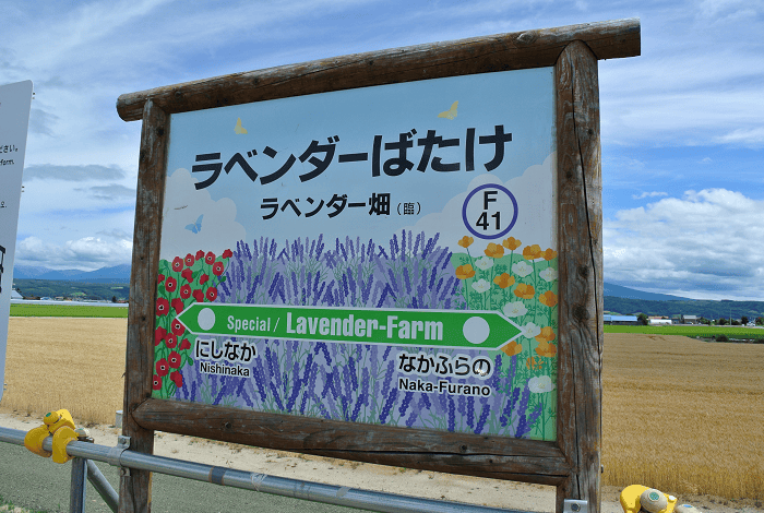 DSC_7695.png DSC_7695.png