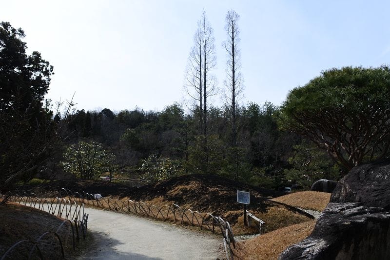 DSC_5491.jpg DSC_5491.jpg